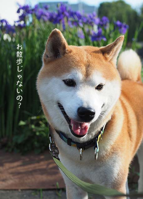 17日ブログ3