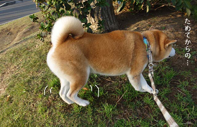 5日ブログ3