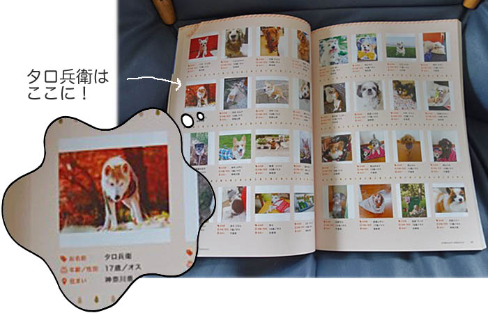 6日ブログ4