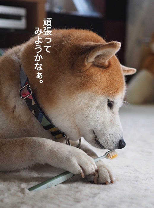 24日ブログ８