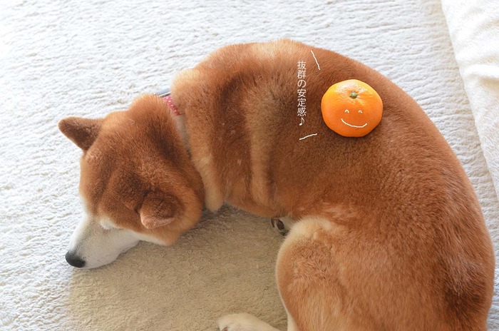 20日ブログ4