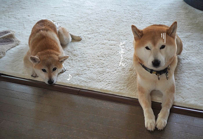 28日ブログ９