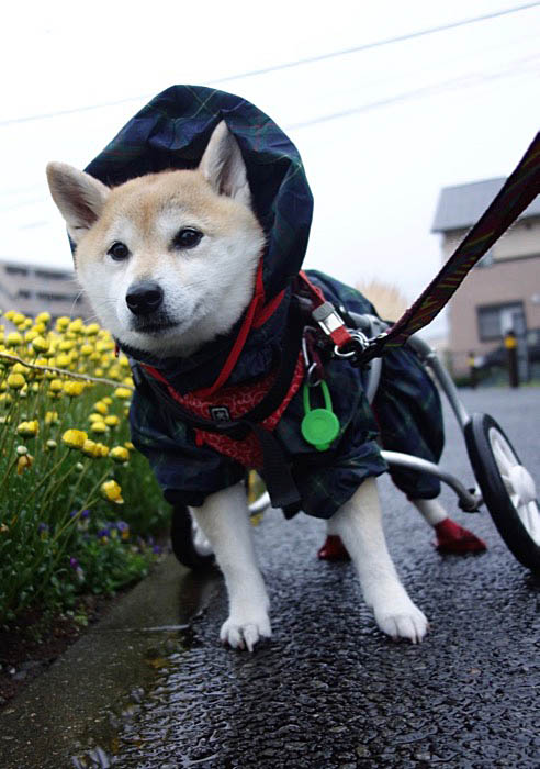 1日ブログ４