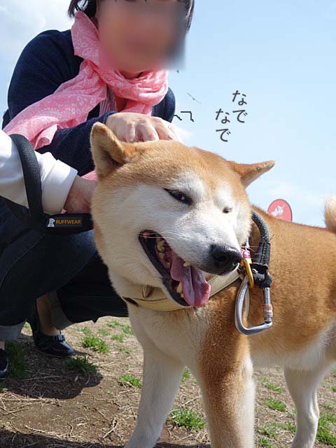15日ブログ7