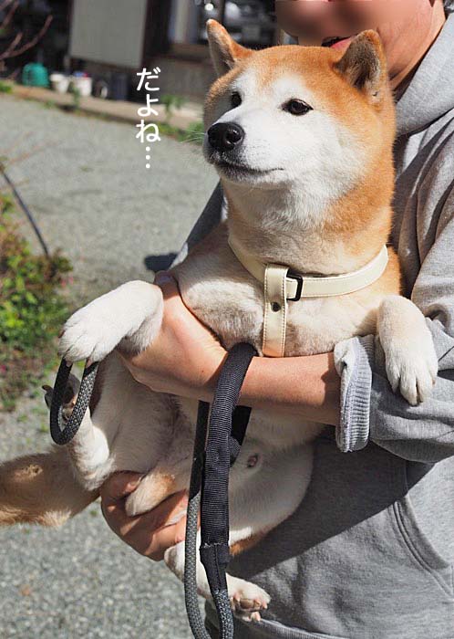 11日ブログ８