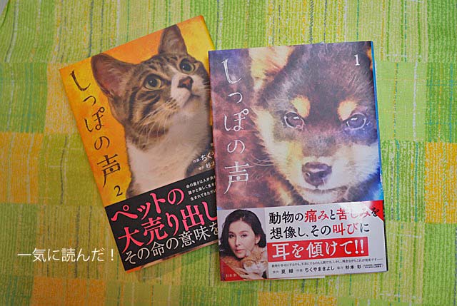 14日ブログ2