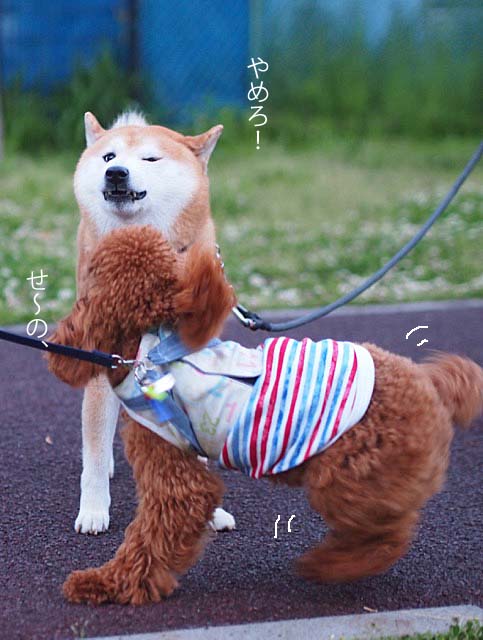 3日ブログ16