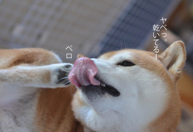 10日ブログ6