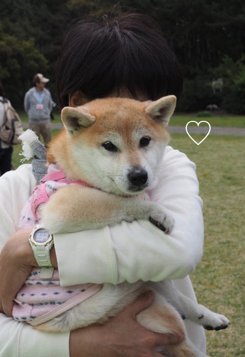 15日ブログ２３