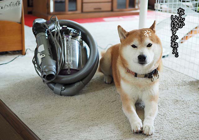 24日ブログ3