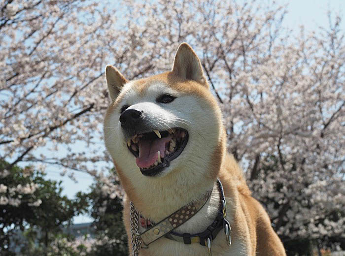 10日午後ブログ１２