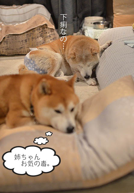 27日ブログ6