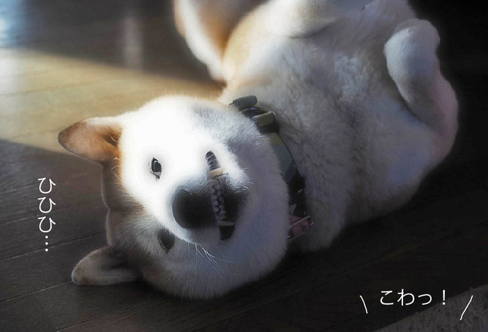12日ブログ3
