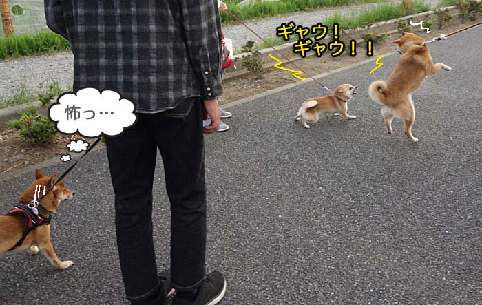 11日夕ブログ７
