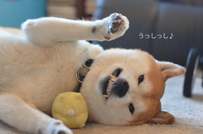 14日ブログ8