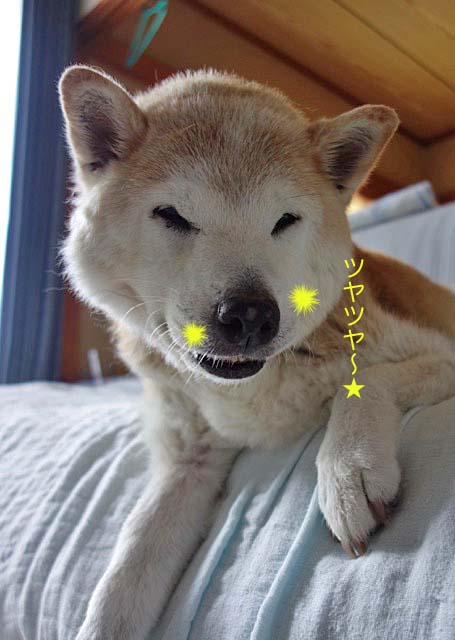 10日ブログ4
