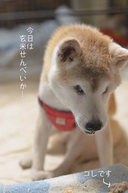 1日ブログ5