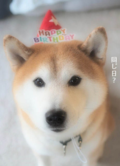 23日ブログ2