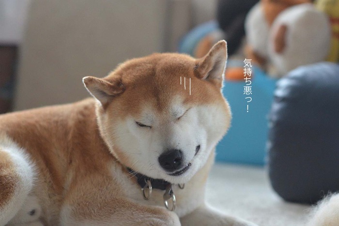 14日ブログ9