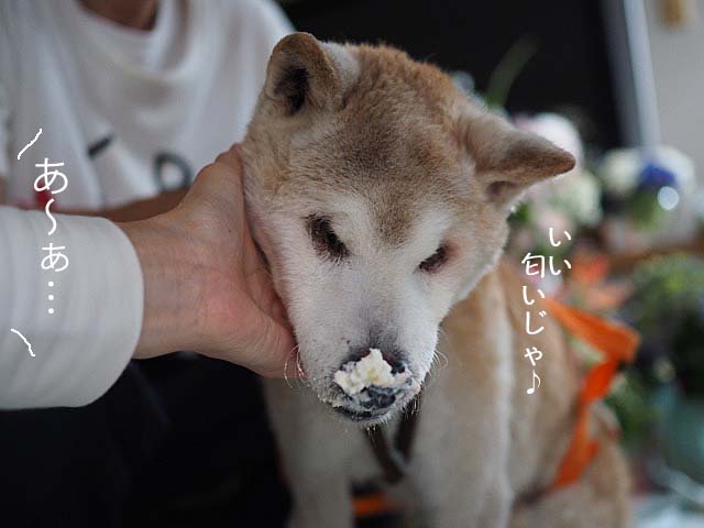 19日ブログ5