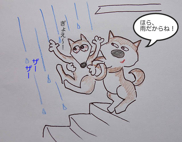 1タロに雨