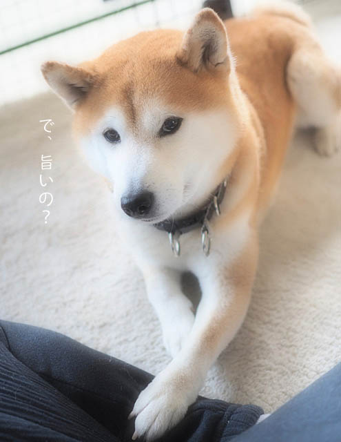 13日ブログ12