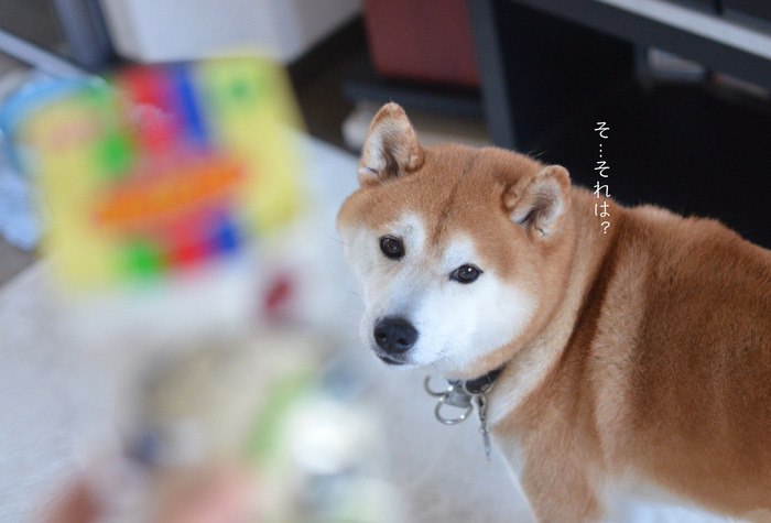 7日ブログ13