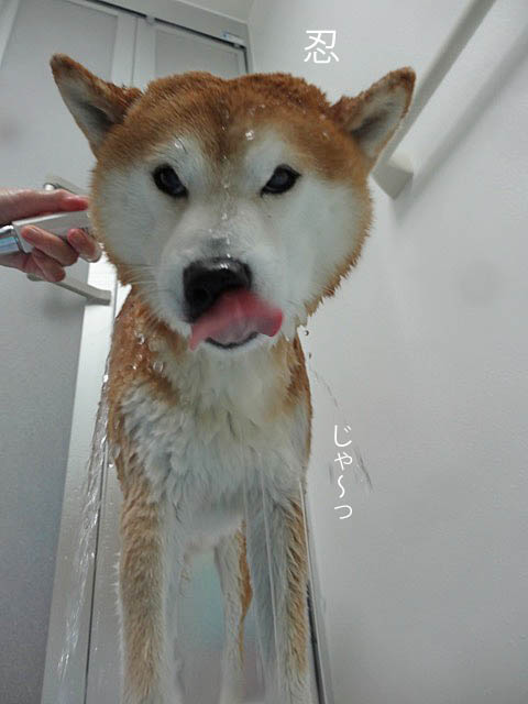 16日ブログ5