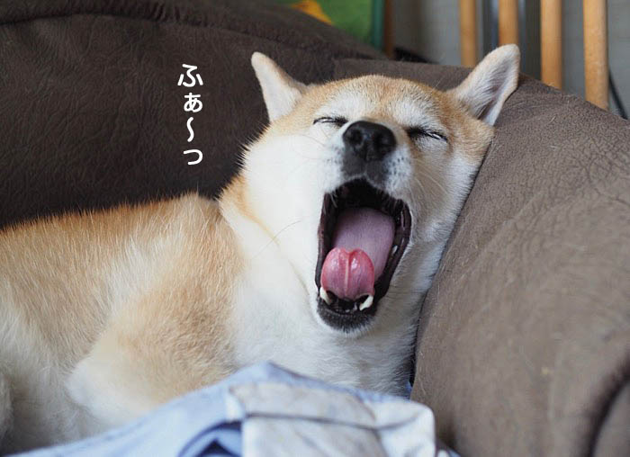 3日ブログ７