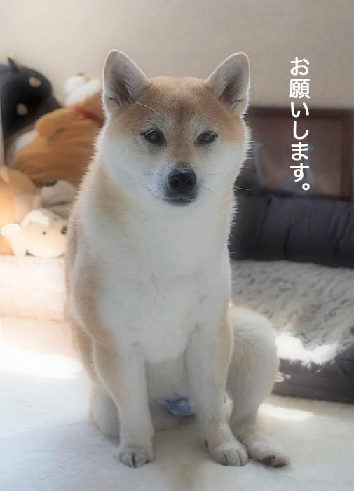 2日ブログ７