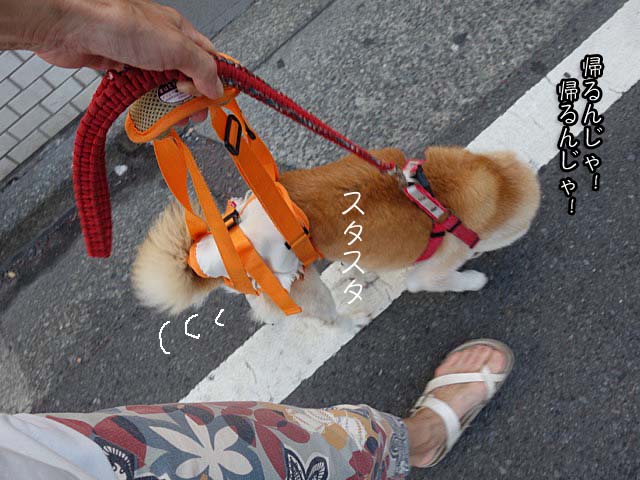 22日ブログ5
