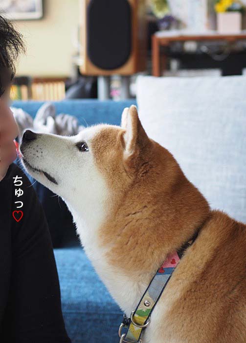 30日ブログ４