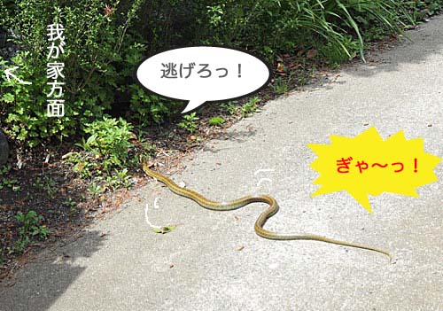 3日ブログ６