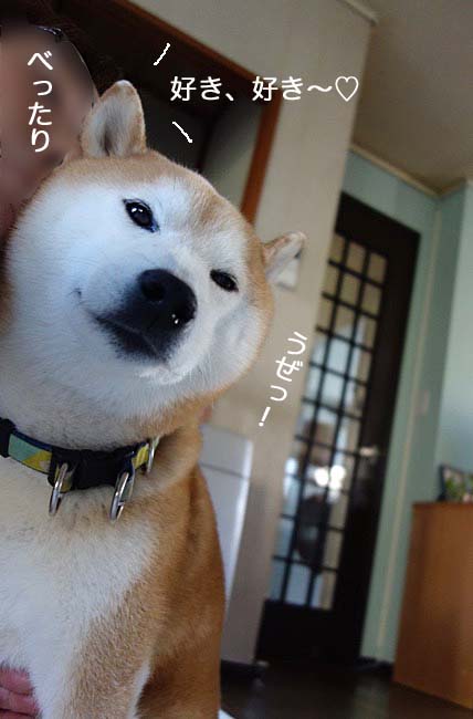 5日午後ブログ８