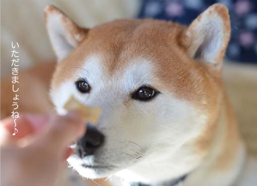 25日ブログ4.jpg