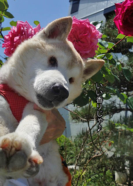 8日ブログ3