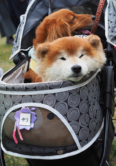 15日ブログ９