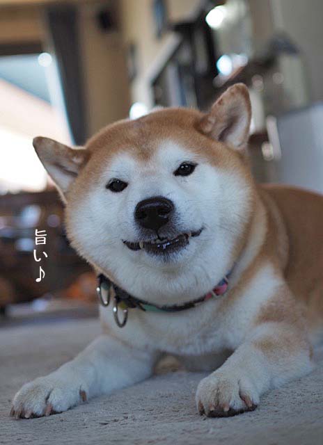 1日ブログ11