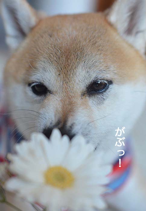 14日ブログ5