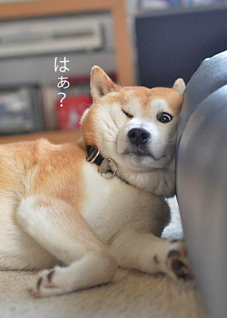 11日ブログ3