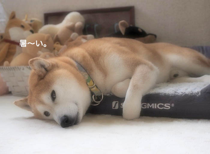 10日夜ブログ１