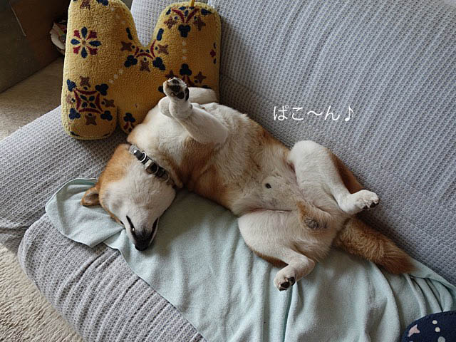 27日ブログ2