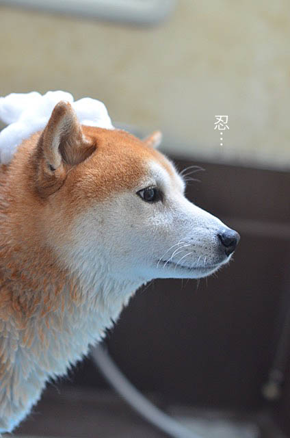 4日ブログ5