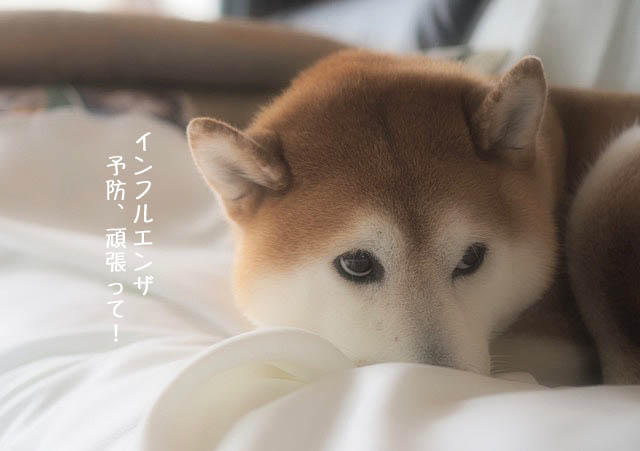 5日ブログ6