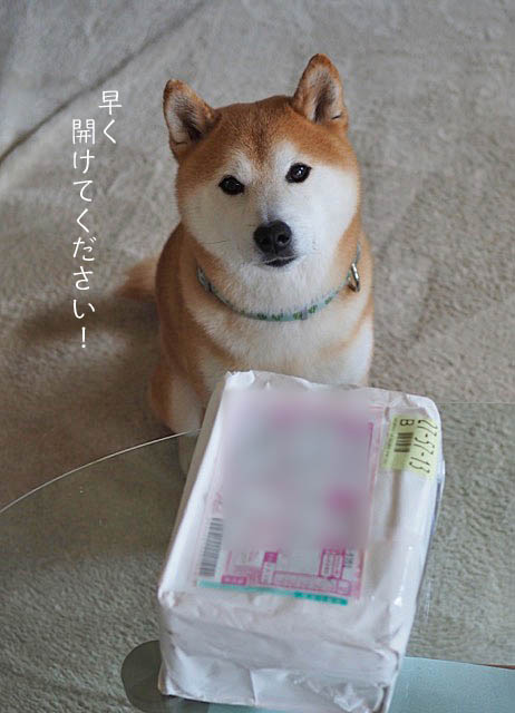 16日ブログ4