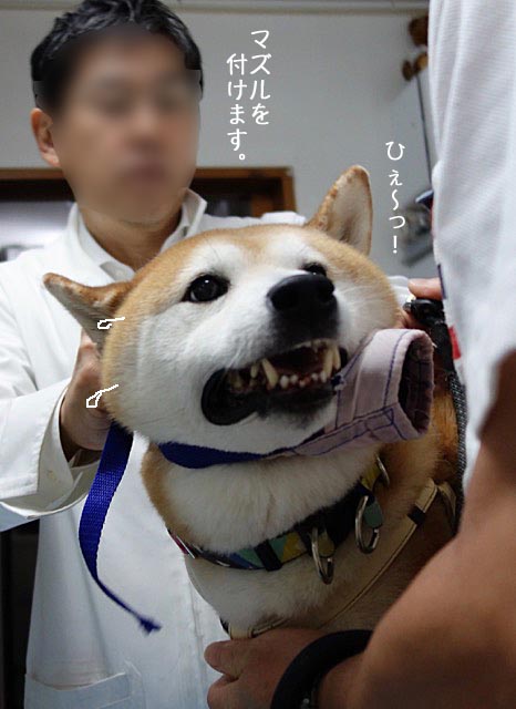 9日ブログ3