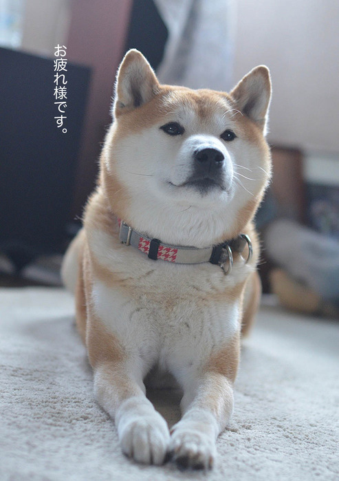 1日ブログ10