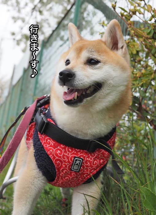 12日夕ブログ３