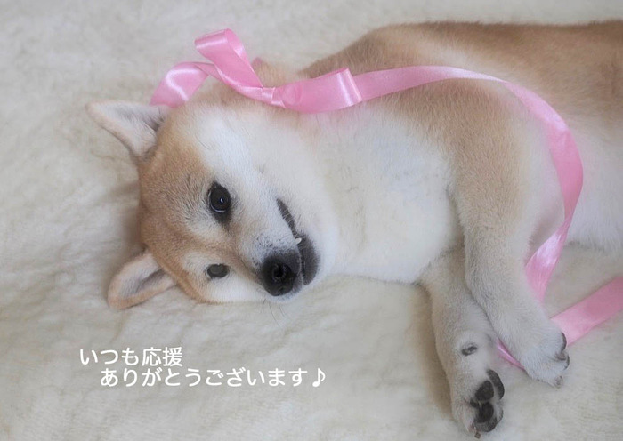 14日ブログ6