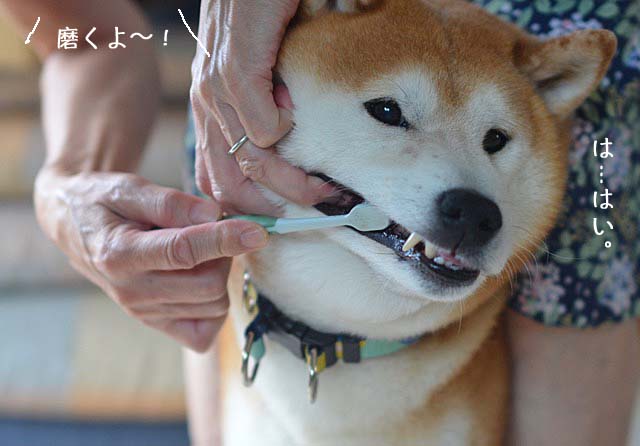 10日ブログ2